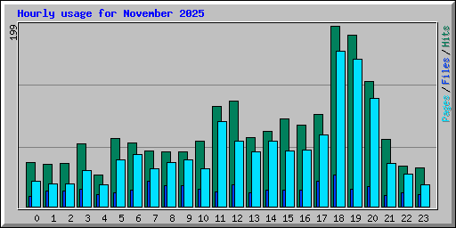 Hourly usage for November 2025